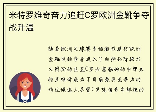 米特罗维奇奋力追赶C罗欧洲金靴争夺战升温