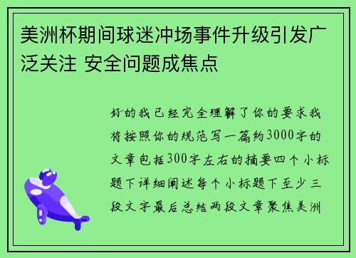美洲杯期间球迷冲场事件升级引发广泛关注 安全问题成焦点